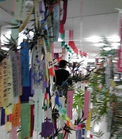 a0098027_16234280.jpg