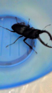c0204228_18234299.jpg