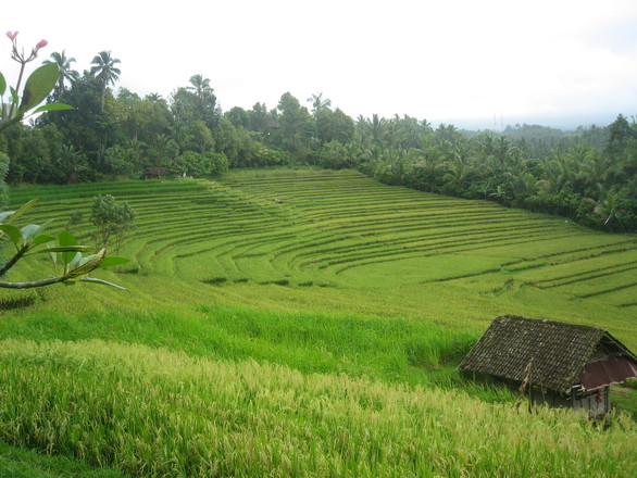 f0162528_100241.jpg