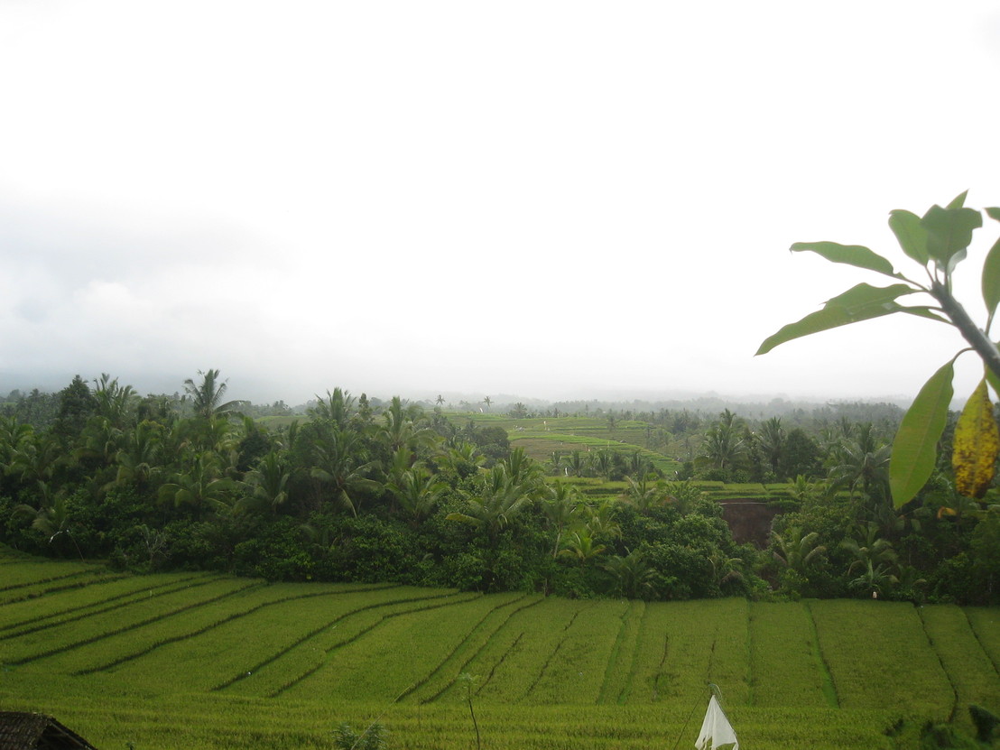 f0162528_10143530.jpg