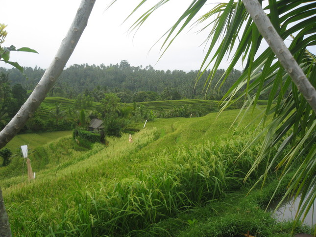 f0162528_1016535.jpg