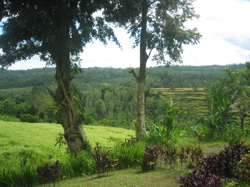 f0162528_1018570.jpg