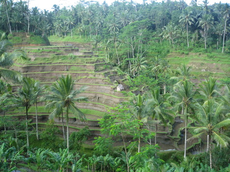 f0162528_10215456.jpg