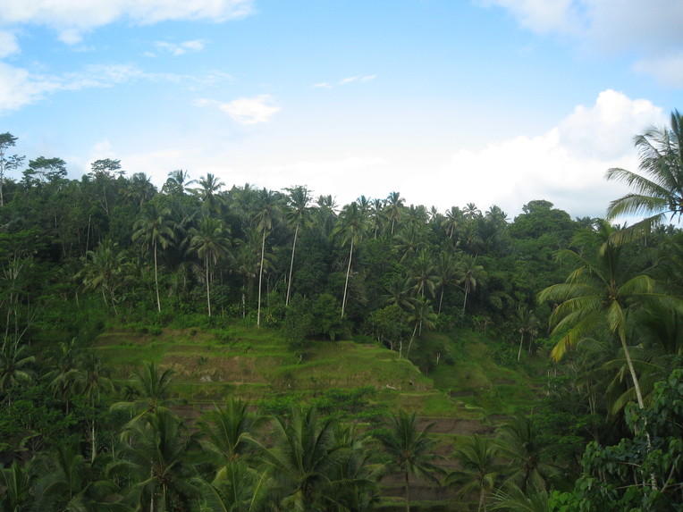 f0162528_10233930.jpg