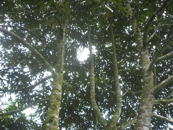 f0162528_10382384.jpg