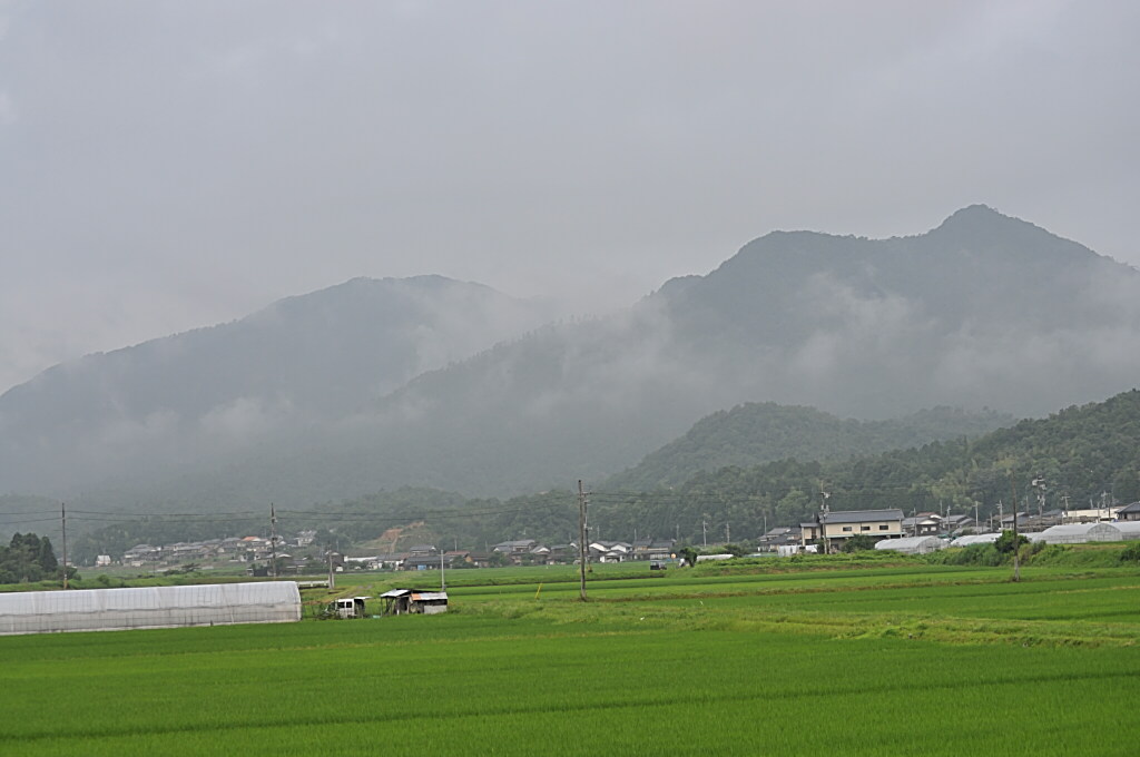 b0129533_228583.jpg