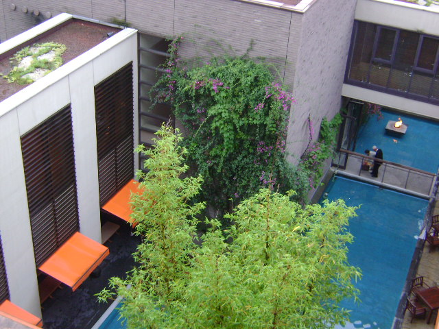 d0118438_2324310.jpg
