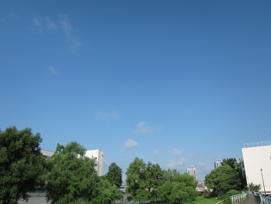 d0156438_1154976.jpg