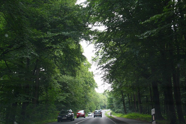 c0153740_1643127.jpg