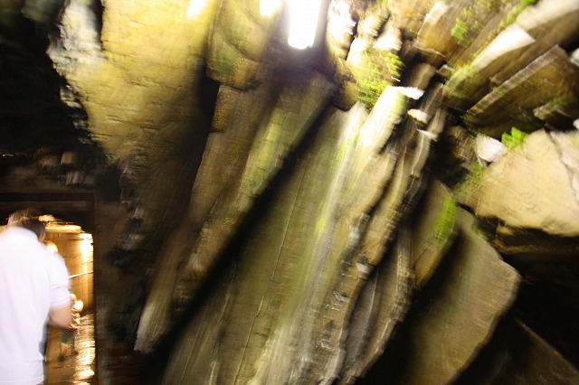 c0153740_1740444.jpg