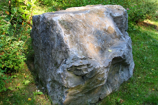 c0153740_17474980.jpg