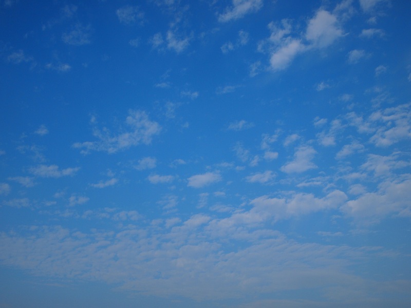 a0146442_7385595.jpg