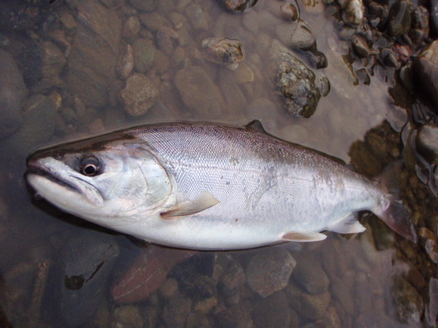 f0168947_1320942.jpg