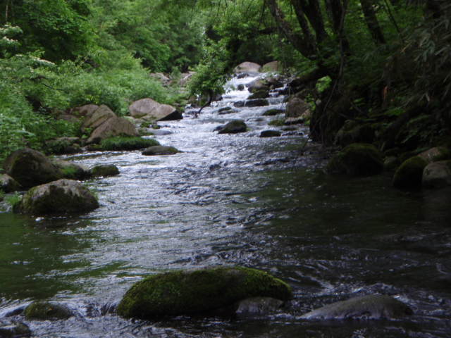 f0168947_13455010.jpg