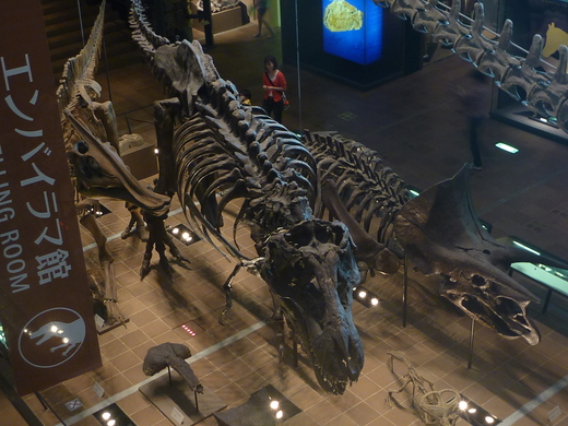 a0164649_2324582.jpg