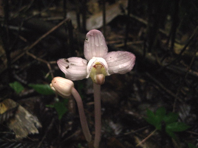 c0179351_19232326.jpg