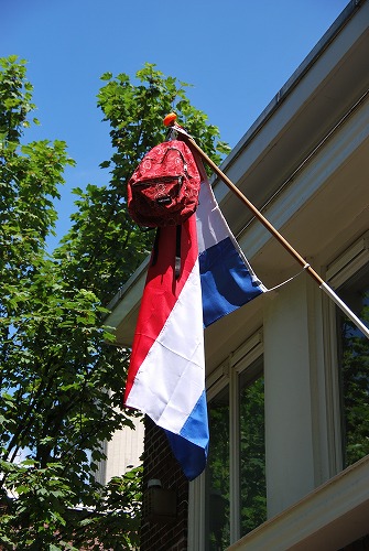 e0145753_5581145.jpg