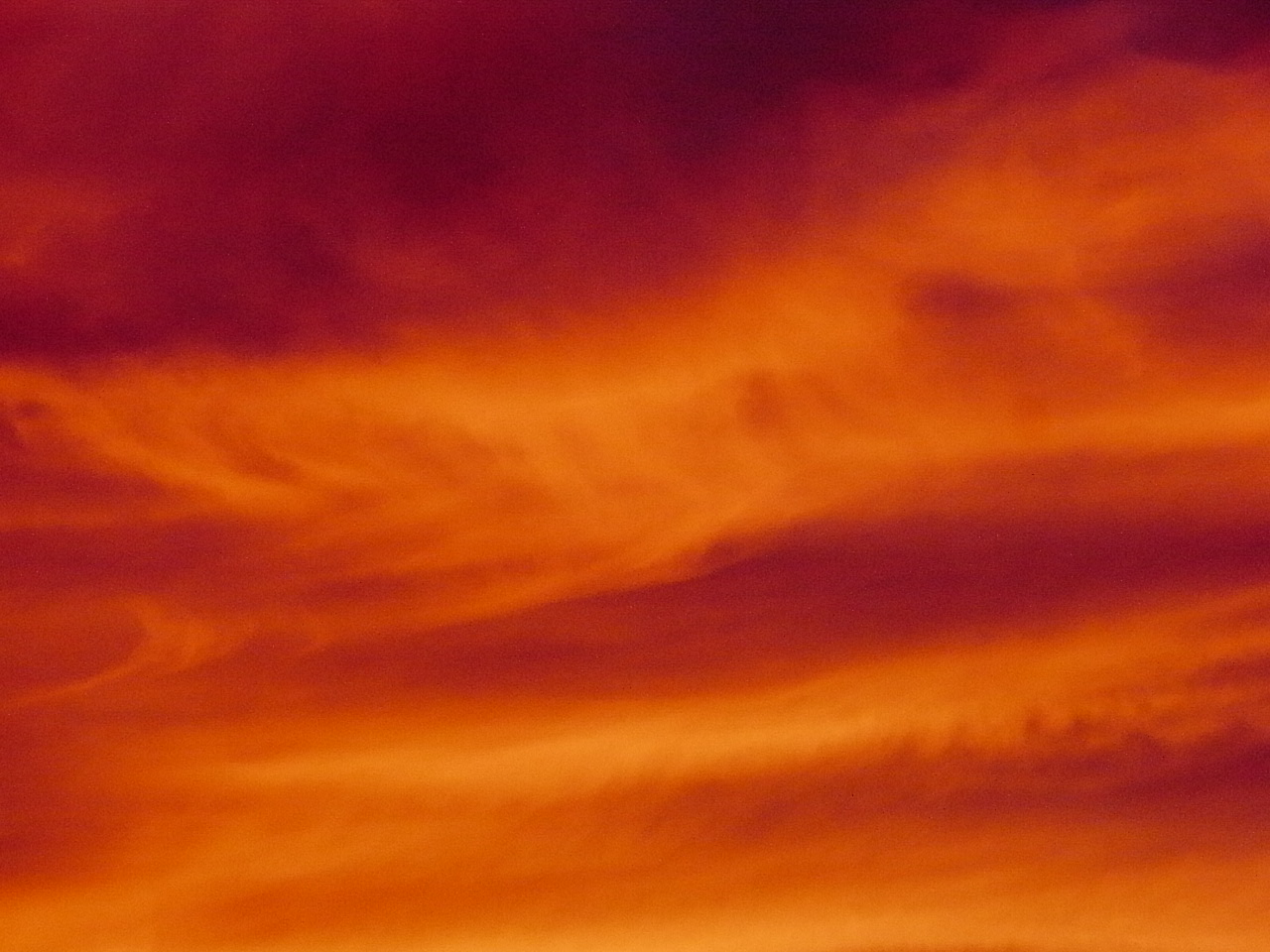 f0178153_2356786.jpg