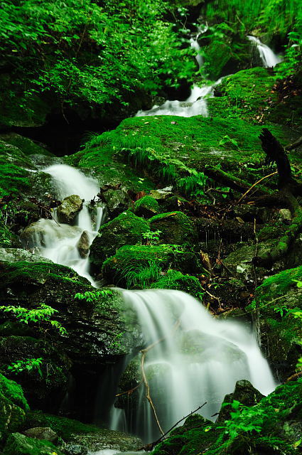 f0222161_20521377.jpg