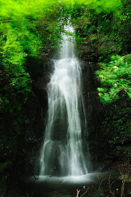 f0222161_2052142.jpg