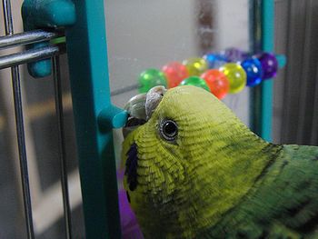 f0196665_0152153.jpg
