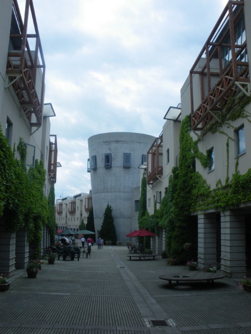 b0125570_10374470.jpg