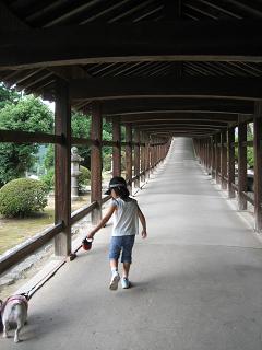 c0174077_834678.jpg