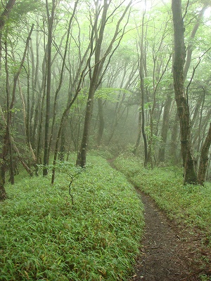 f0171180_22182075.jpg
