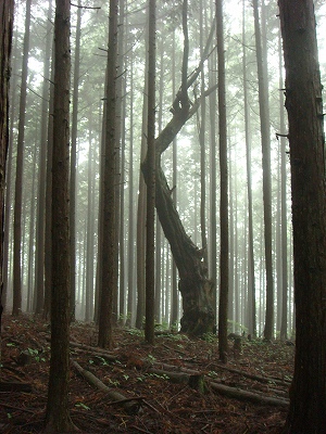 f0171180_22182966.jpg