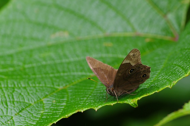 c0135381_223998.jpg