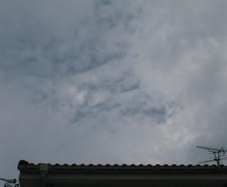 e0130185_19373949.jpg