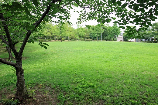 e0190885_19233080.jpg