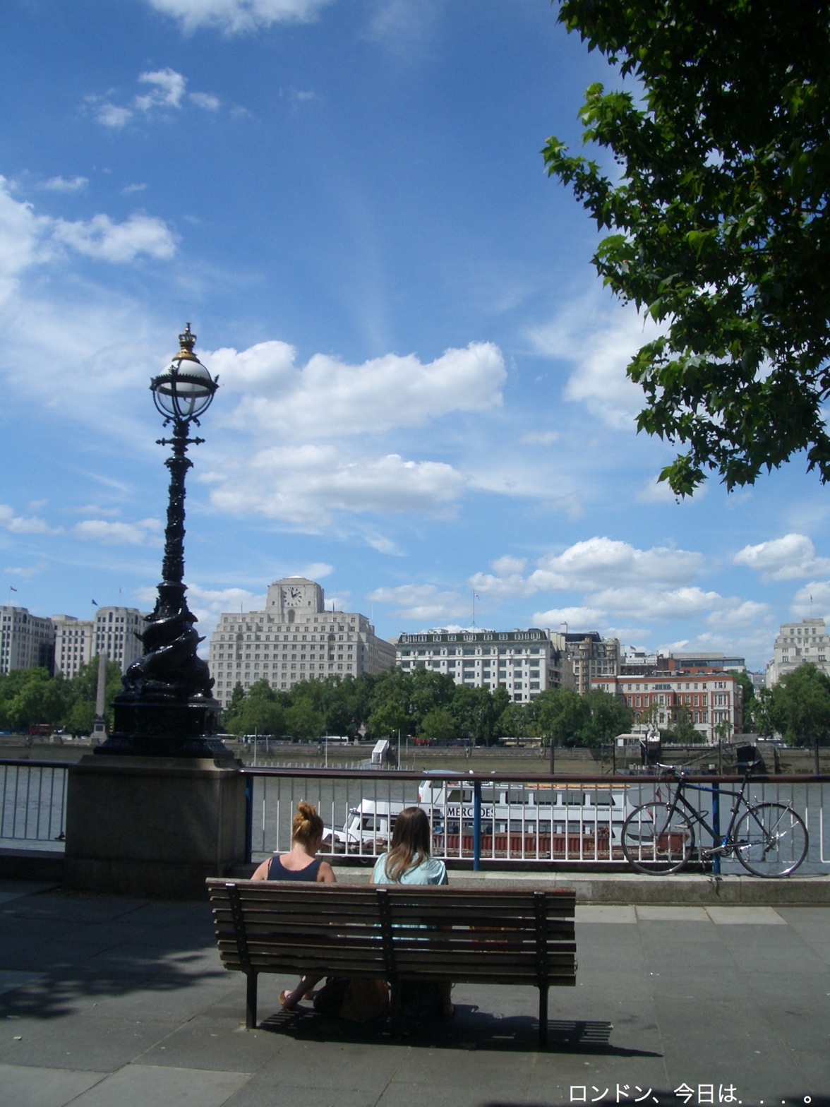 a0137487_1851248.jpg