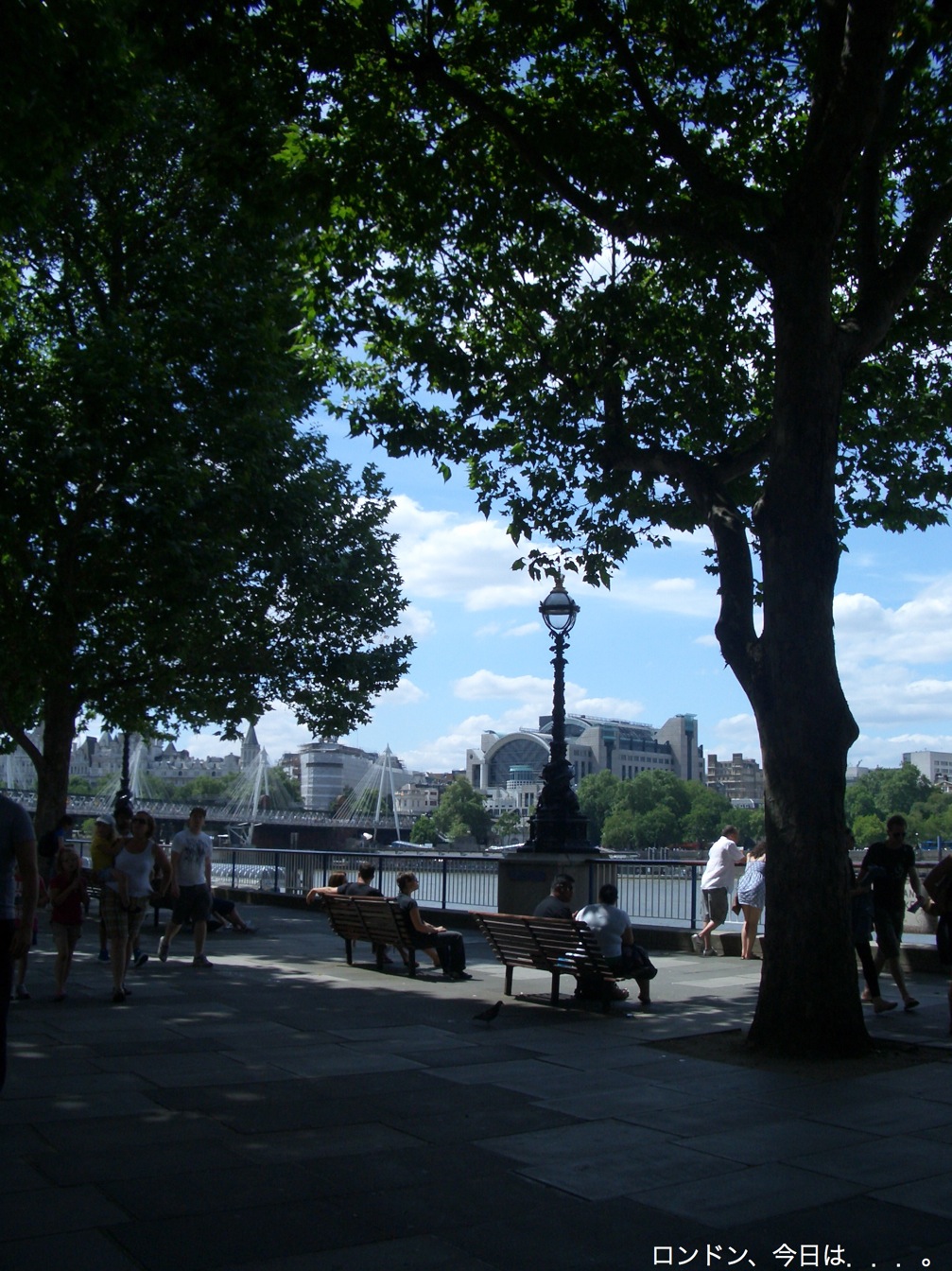 a0137487_196599.jpg
