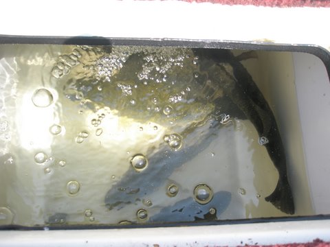 f0024887_10401295.jpg