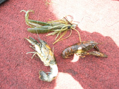 f0024887_10405545.jpg