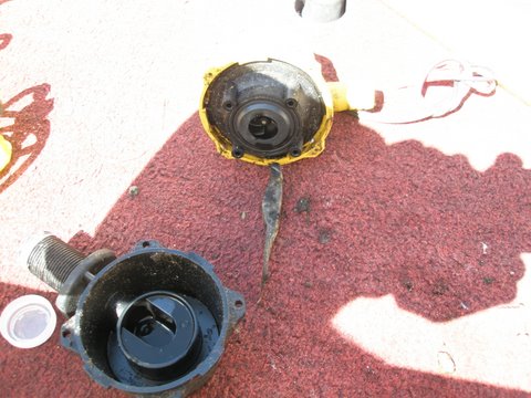 f0024887_10412877.jpg
