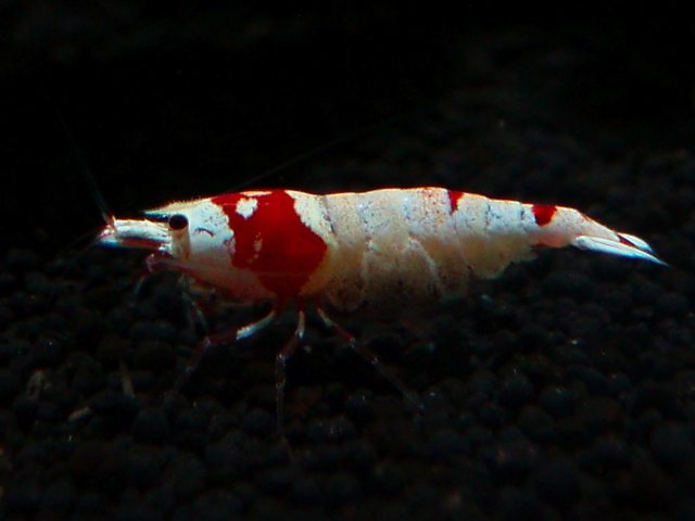 e0192991_21572343.jpg