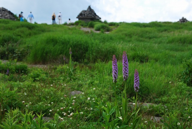 d0168292_18224555.jpg