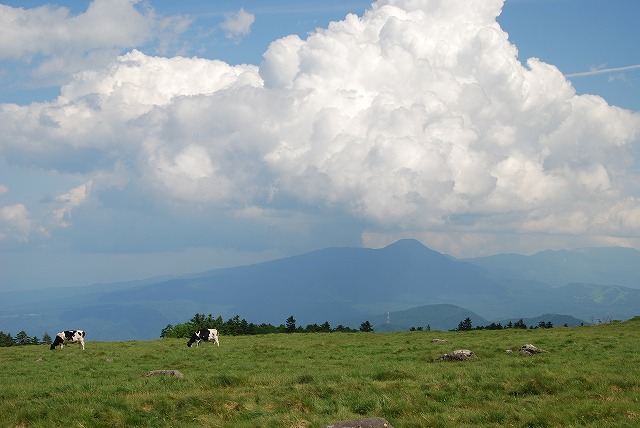 d0168292_18285182.jpg