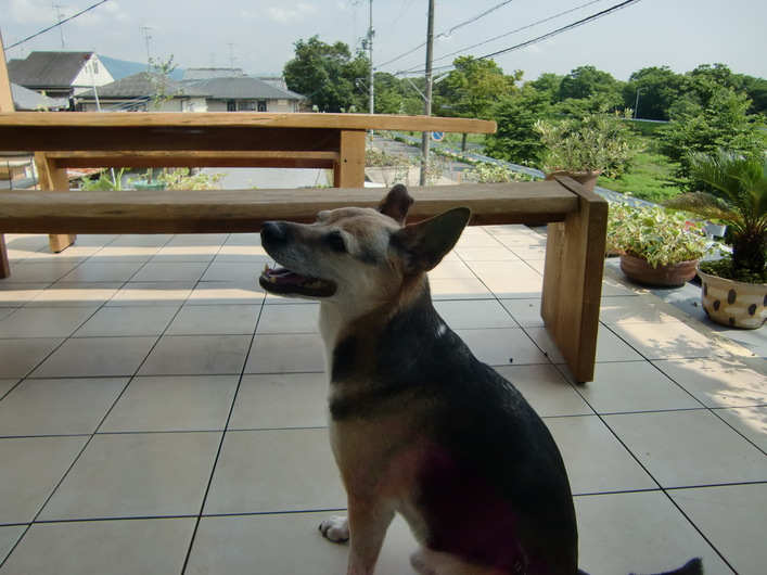 f0211892_1628286.jpg