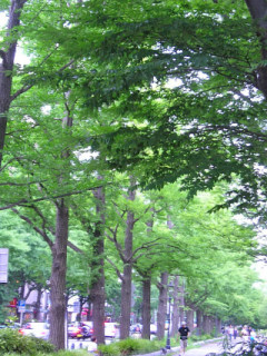 d0173197_21412789.jpg