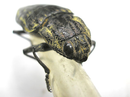 e0083097_23353391.jpg