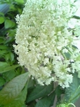f0221708_21495059.jpg