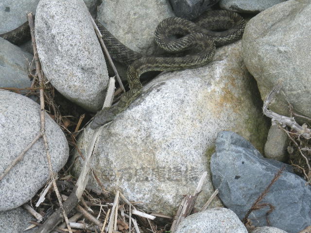 b0172209_9173326.jpg