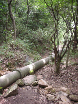 c0145209_21332065.jpg