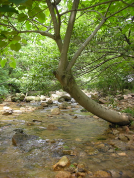 c0145209_2134357.jpg