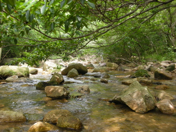 c0145209_2139330.jpg