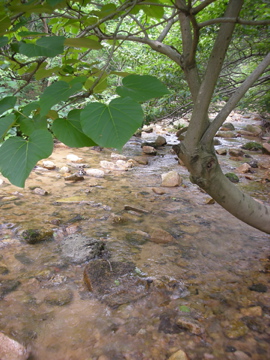 c0145209_21464348.jpg