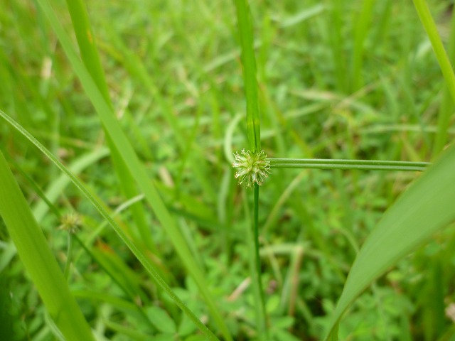 d0037110_22125748.jpg